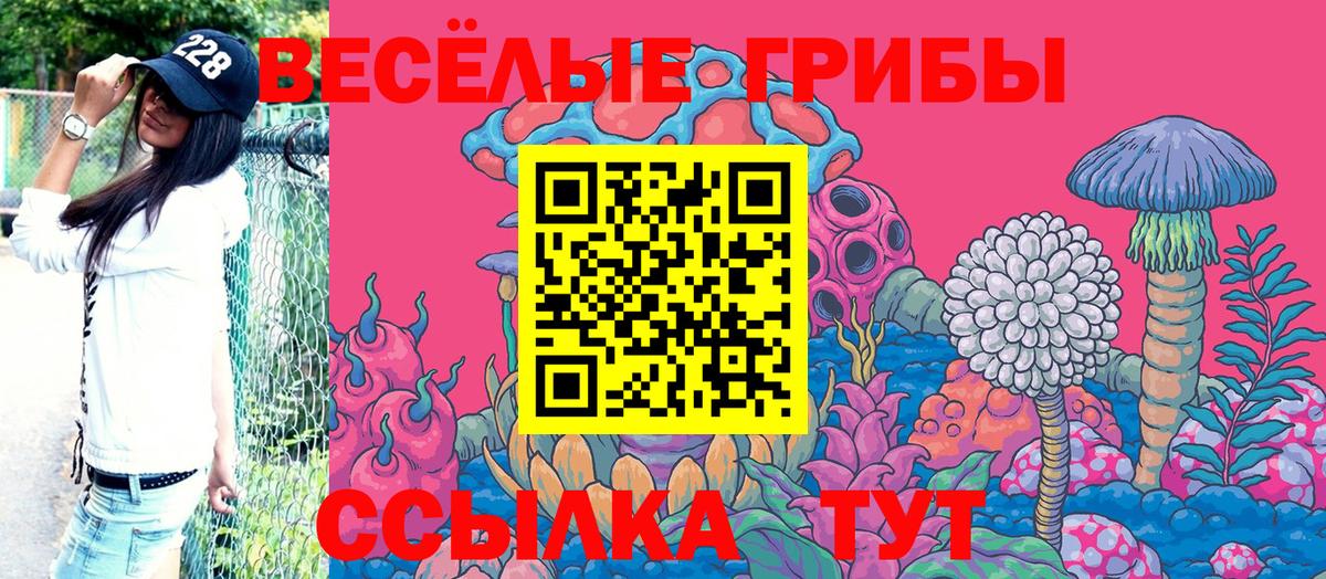 Реутов  Галлюциногенные грибы ЛСД  Вход с VPN 